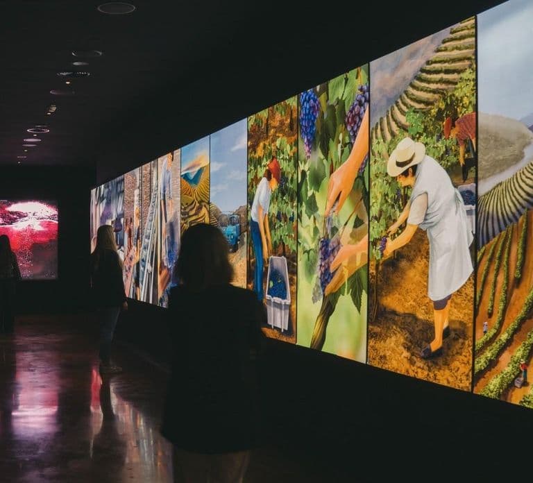 Porto : L'expérience du vin, le meilleur musée du vin au monde