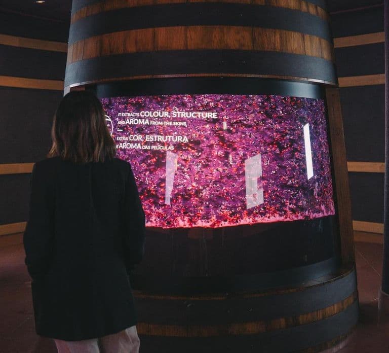 Porto : L'expérience du vin, le meilleur musée du vin au monde