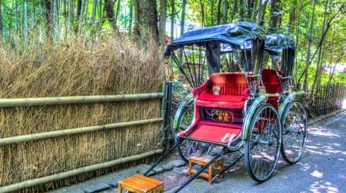 1-day tour to Nara, Kyoto, Arashiyama, Nara Park, and Fushimi Inari Taisha Day Tours