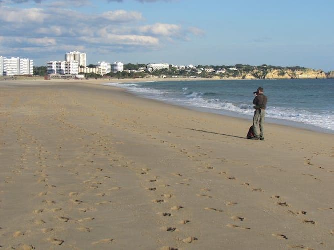 Abicada Lagoon and Alvor Dunes Birdwatching Tour