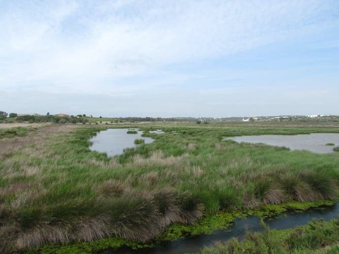 Abicada Lagoon Half-Day Tour