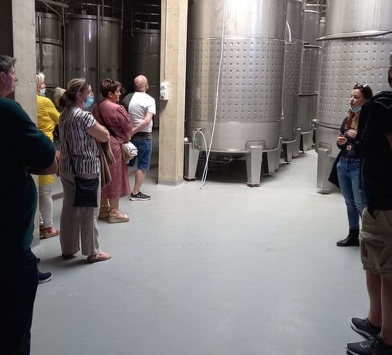 Albufeira/Vilamoura: Winery Tour with Wine Tasting and Tapas