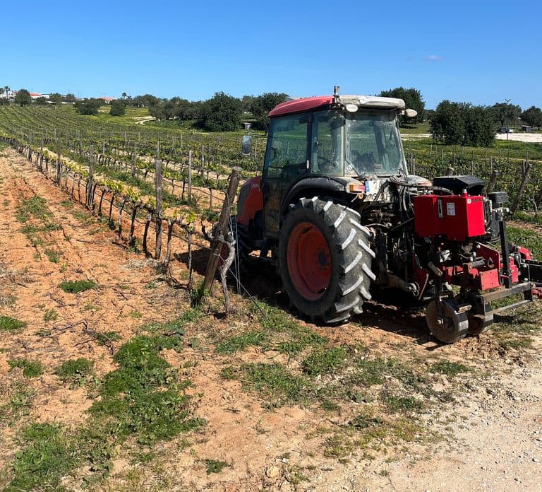 Albufeira/Vilamoura: Winery Tour with Wine Tasting and Tapas