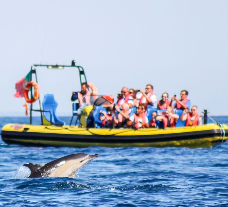 Albufeira: Benagil Caves & Dolphin Watching Speed Boat Tour