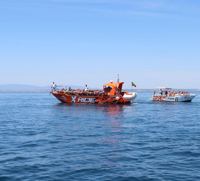 Albufeira: Dolphin Watching and Benagil Cave