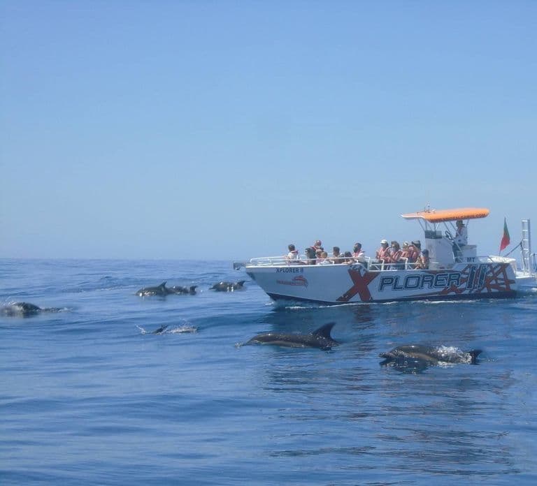 Albufeira: Dolphin Watching and Benagil Cave