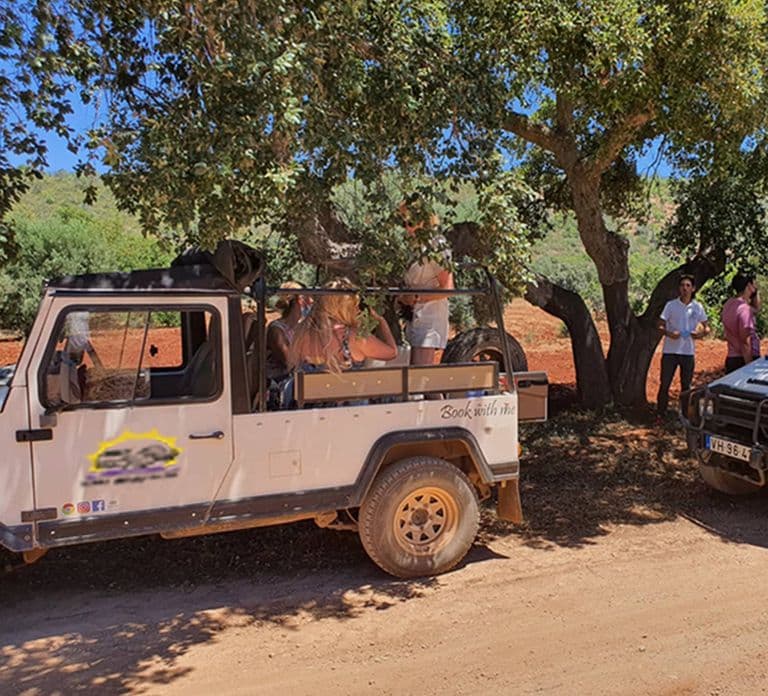 Albufeira: Safari Excursion in the Algarve Mountains