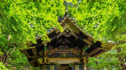 1-day tour to Nikko Toshogu Shrine + Lake Chūzenji + Kegon Waterfalls: includes admission ticket and hot spring fee Day Tours