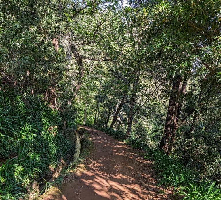 Funchal 출발: Pico Arieiro 일출 및 선택적 조식