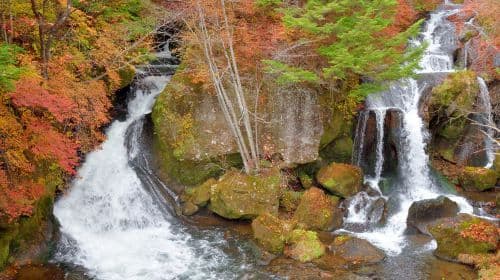 1-daagse tour naar Nikko Toshogu Shrine + Lake Chūzenji: Irohazaka Winding Road/Kegon Waterfalls/Vertrek vanuit Tokyo Day Tours