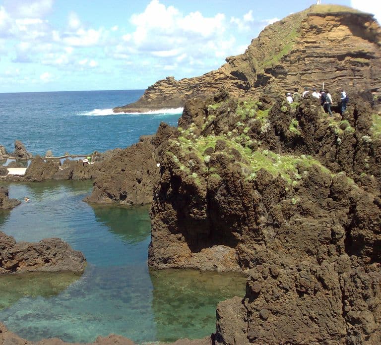 From Funchal: West Madeira Waterfalls and Fanal Forest Tour