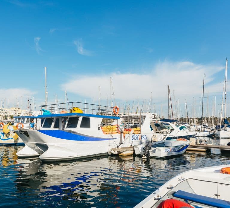 From Lagos: Explore Ponta da Piedade Sea Caves by Kayak