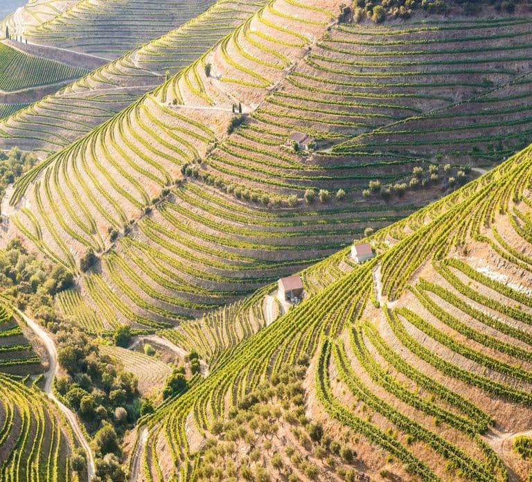 From Porto: Douro Valley w/ Boat Tour, Wine Tasting & Lunch