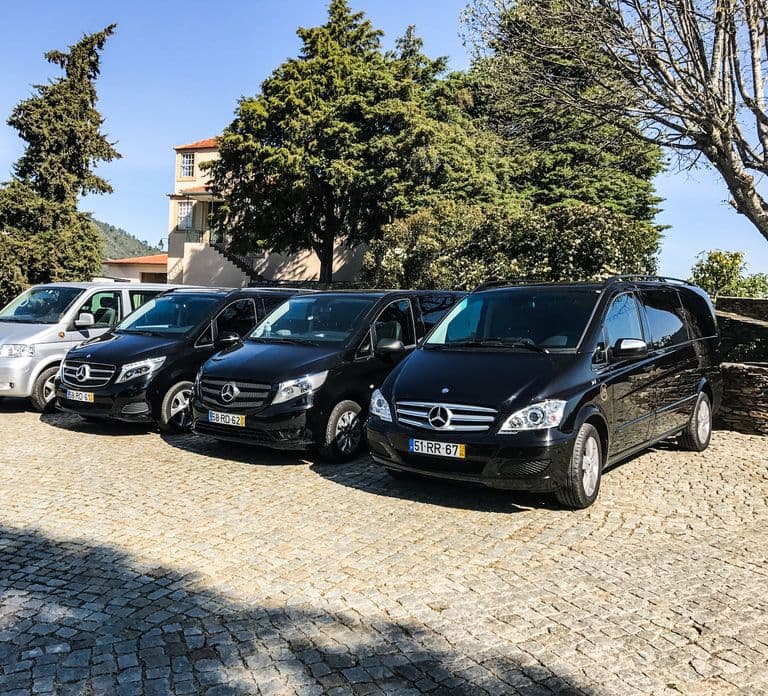 Depuis Porto : Vallée du Douro avec croisière, dégustation de vin et déjeuner