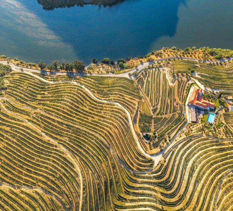From Porto: Douro Valley w/ Boat Tour, Wine Tasting & Lunch
