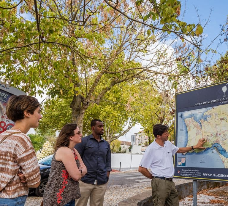 Lisbon Private Setúbal Region Wine Tasting Tour