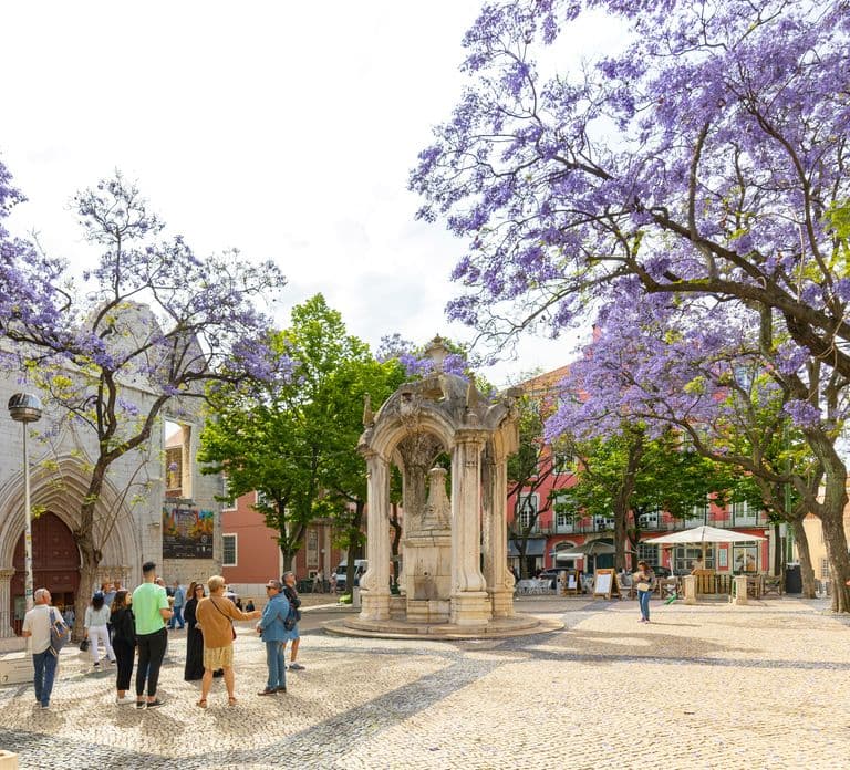 Lisbon: History, Stories and Lifestyle Walking Tour