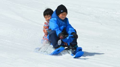 1-dniowa wycieczka do Otaru + Bibai Snow Land + Shiroi Koibito Park na Hokkaido, Japonia: Zabawa na śniegu