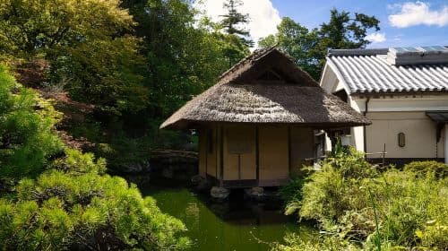 Kyoto: Tea Ceremony in a Traditional Tea House in Kiyomizu Day Tours