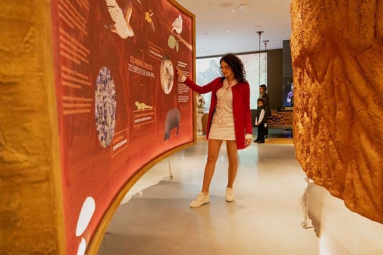 Planet Cork WOW Museum Ticket