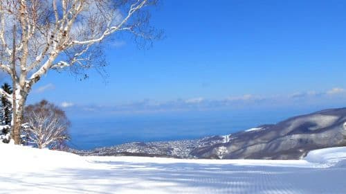 1-day tour to Otaru Asarigawa Ski Resort in Hokkaido