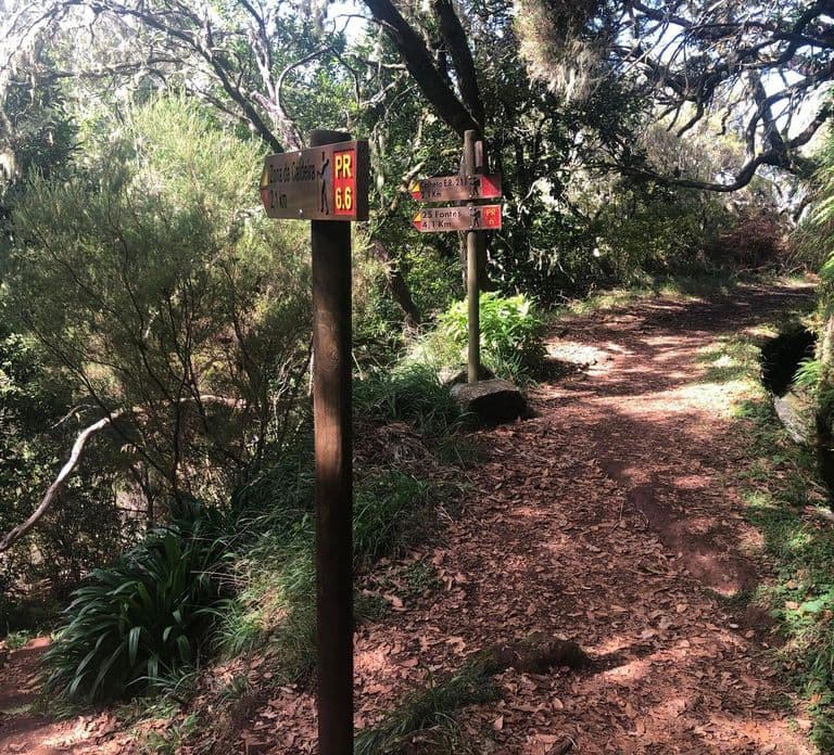Rabaçal: 25 Fontes & Risco Levada Hiking Transfer