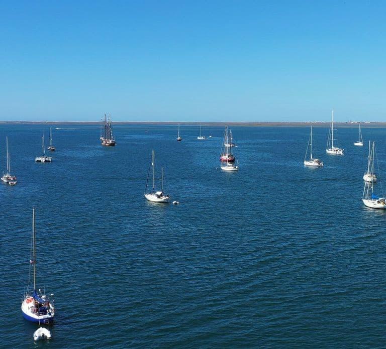 Ria Formosa: Armona and Culatra Islands 3-Hour Boat Tour