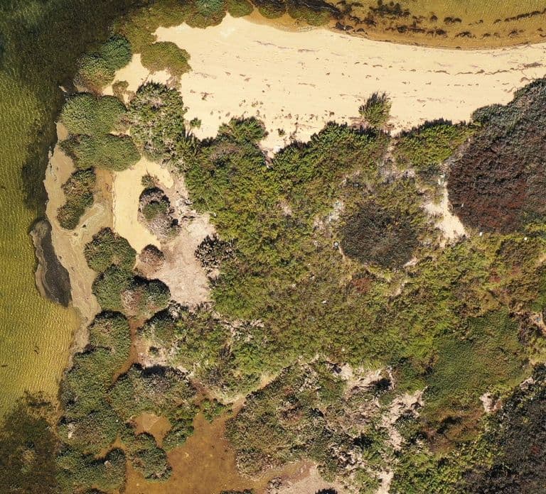 Ria Formosa: Armona and Culatra Islands 3-Hour Boat Tour