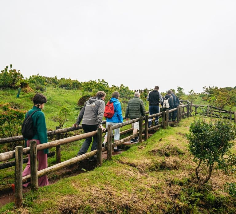 Terceira: Algar do Carvão Lava Caves Tour