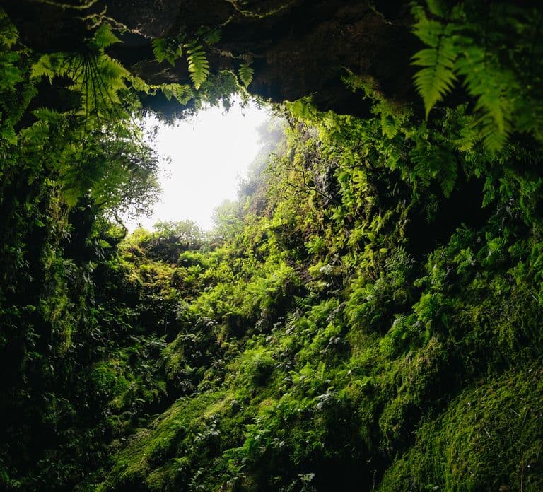 Terceira: Tour durch die Lavahöhlen Algar do Carvão
