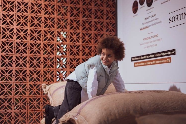 The Chocolate Experience WOW Museum Ticket