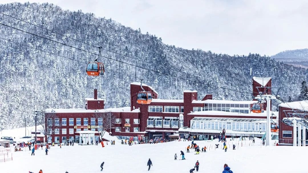 1-day tour to Sapporo International Ski Resort in Hokkaido, Japan, beginner and advanced ski slopes, optional coach package