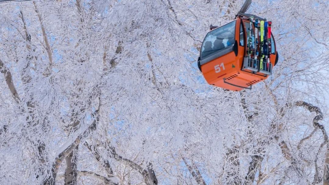 일본 Hokkaido의 Sapporo International Ski Resort 1일 투어, 초급 및 상급 스키 슬로프, 선택 가능한 코치 패키지