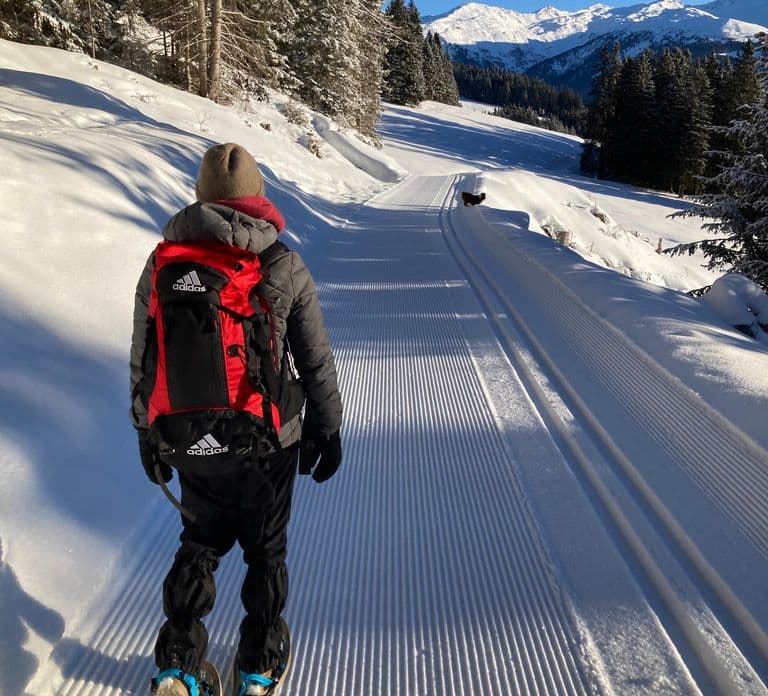 Ehrwald: Zugspitze Snowshoe Hiking Tour with Mountain Views