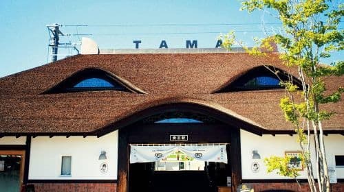 1-Tages-Tour nach Shirahama, Wakayama mit Conan-Themen-Erlebnis, inklusive Zugfahrt zum Bahnhof Kishi und Senjojiki