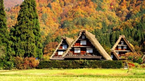 Jednodniowa wycieczka do miasta Takayama i Shirakawa-go w prefekturze Gifu, Japonia (w tym lunch z wołowiną Hida)
