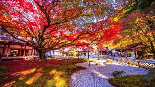 1-day tour to the hidden gems of Itoshima, Kyushu: Sennyoji, Totoro Forest Path, Meoto Iwa, and Fukuoka Tower Day Tours