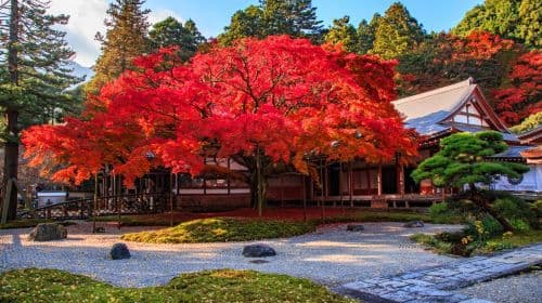 1-day tour to the hidden gems of Itoshima, Kyushu: Sennyoji, Totoro Forest Path, Meoto Iwa, and Fukuoka Tower Day Tours