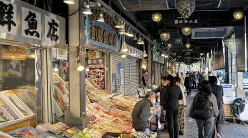 1-Day Walking Tour in Sapporo: Historical Sights of Sapporo Day Tours