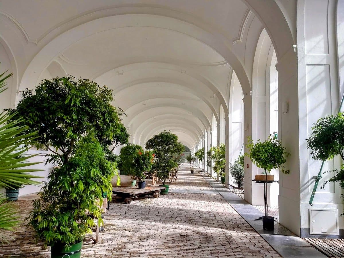 Schönbrunn Palace: Mozart & Johann Strauss Concert at the Orangerie