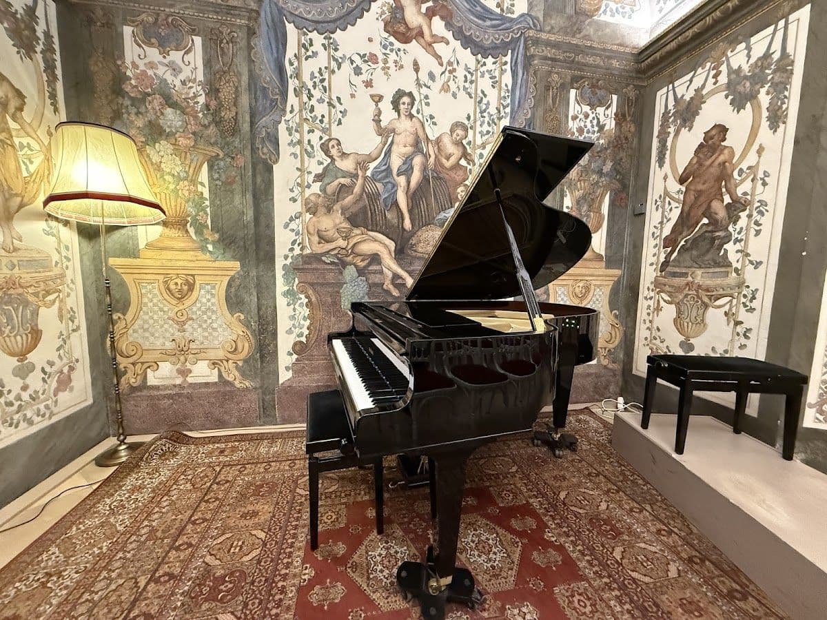 Strauss and Mozart Concerts