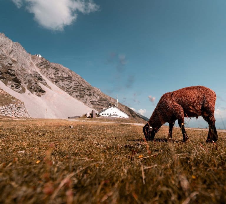 Top of Innsbruck: Roundtrip Cable Car Ticket