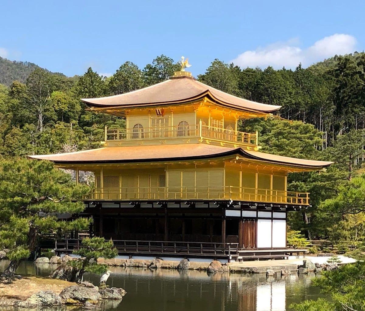 2-Day Hop-On Hop-Off Ticket for Double-Decker bus tour in Kyoto, Japan Transport Passes