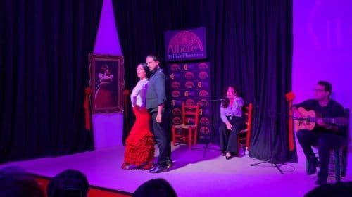 Albaicín & Sacromonte: Tour with Flamenco Show Day Tours