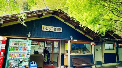 Kyoto: UNESCO World Heritage Arashiyama Walking Tour Day Tours