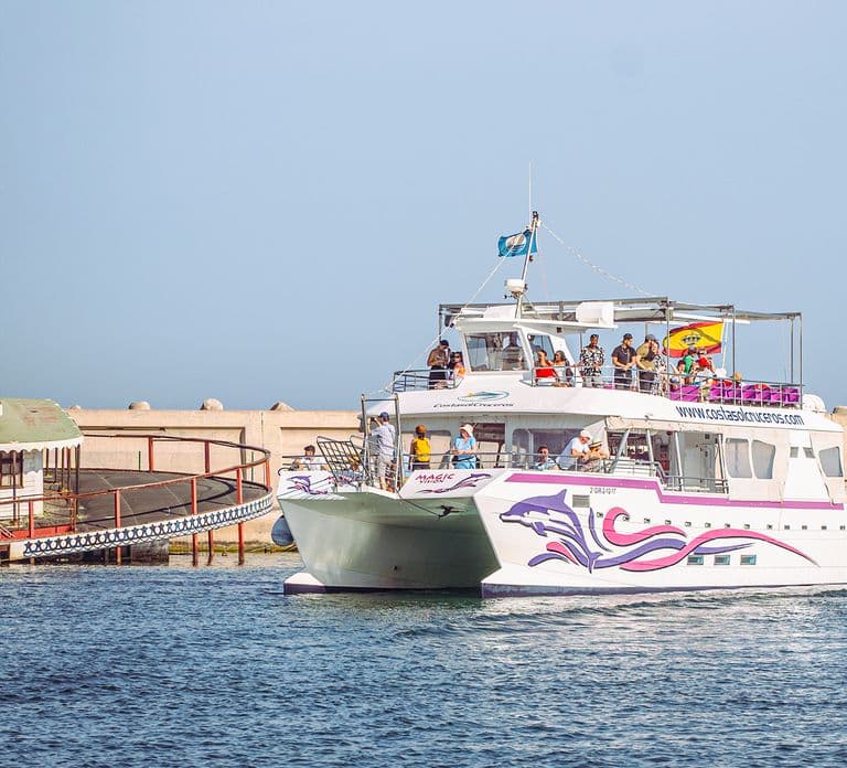 Benalmadena: Passeio de Barco para Observação de Golfinhos