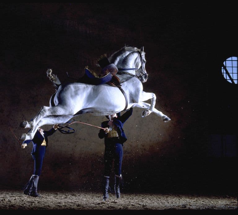 Jerez de la Frontera: Hoe de Andalusische paarden dansen
