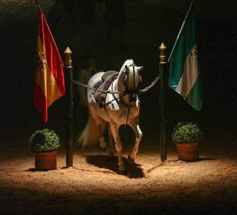 Jerez de la Frontera: Hoe de Andalusische paarden dansen