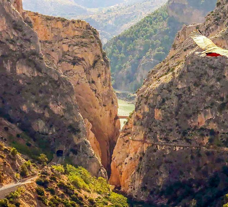 Caminito del Rey: Guided Tour and Entry Ticket