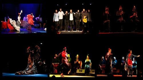 Flamenco City Hall Theatre - Barcelona